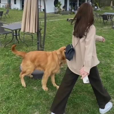 封神训练营